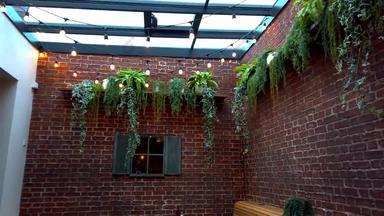 植物挂砖墙素食主义者餐厅玻璃天花板